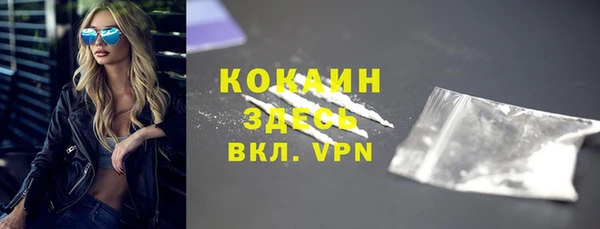 амф Новозыбков