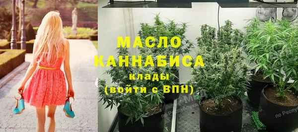 метадон Вяземский