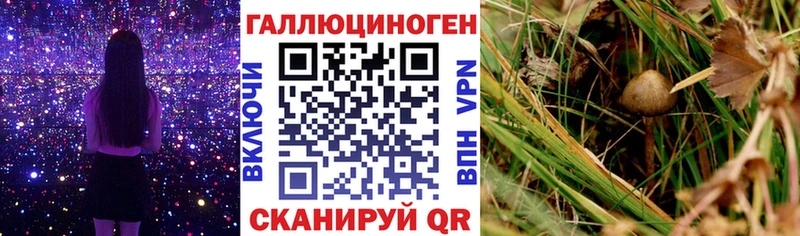 мориарти состав Новоульяновск Галлюциногенные грибы Magic Shrooms